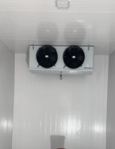 Kho đông công nghiệp