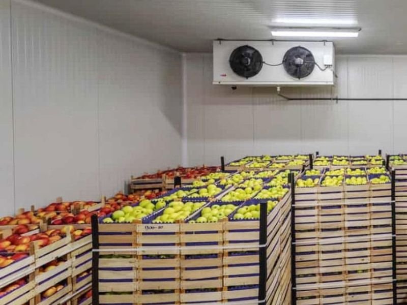 Kho Mát Bảo Quản Hoa Quả