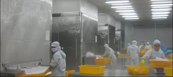 Cấp đông nhanh cho thủy sản